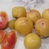 Long keeper tomato: recenzje, zdjęcia, plon